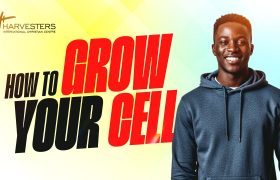 How to Grow your Cell